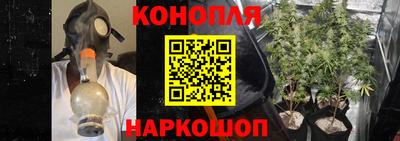 шишки Тулун